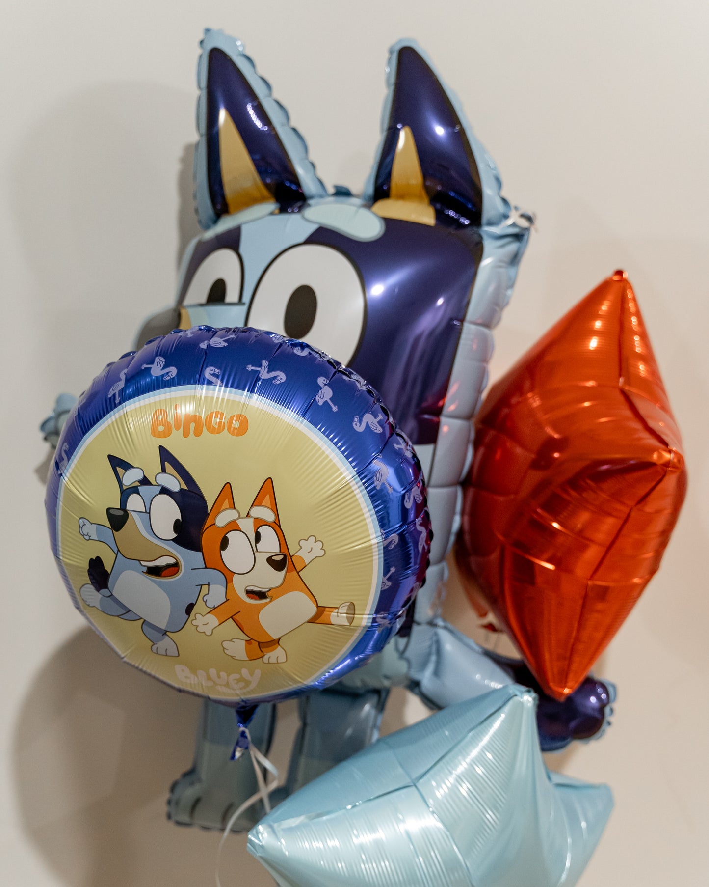 Balloon Bouquet Kit - Bluey